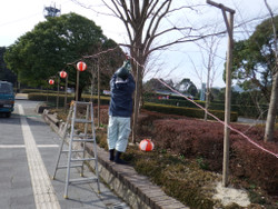 Dscf4643