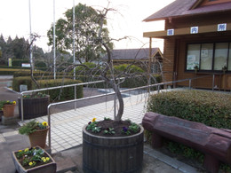 Dscf9337_2